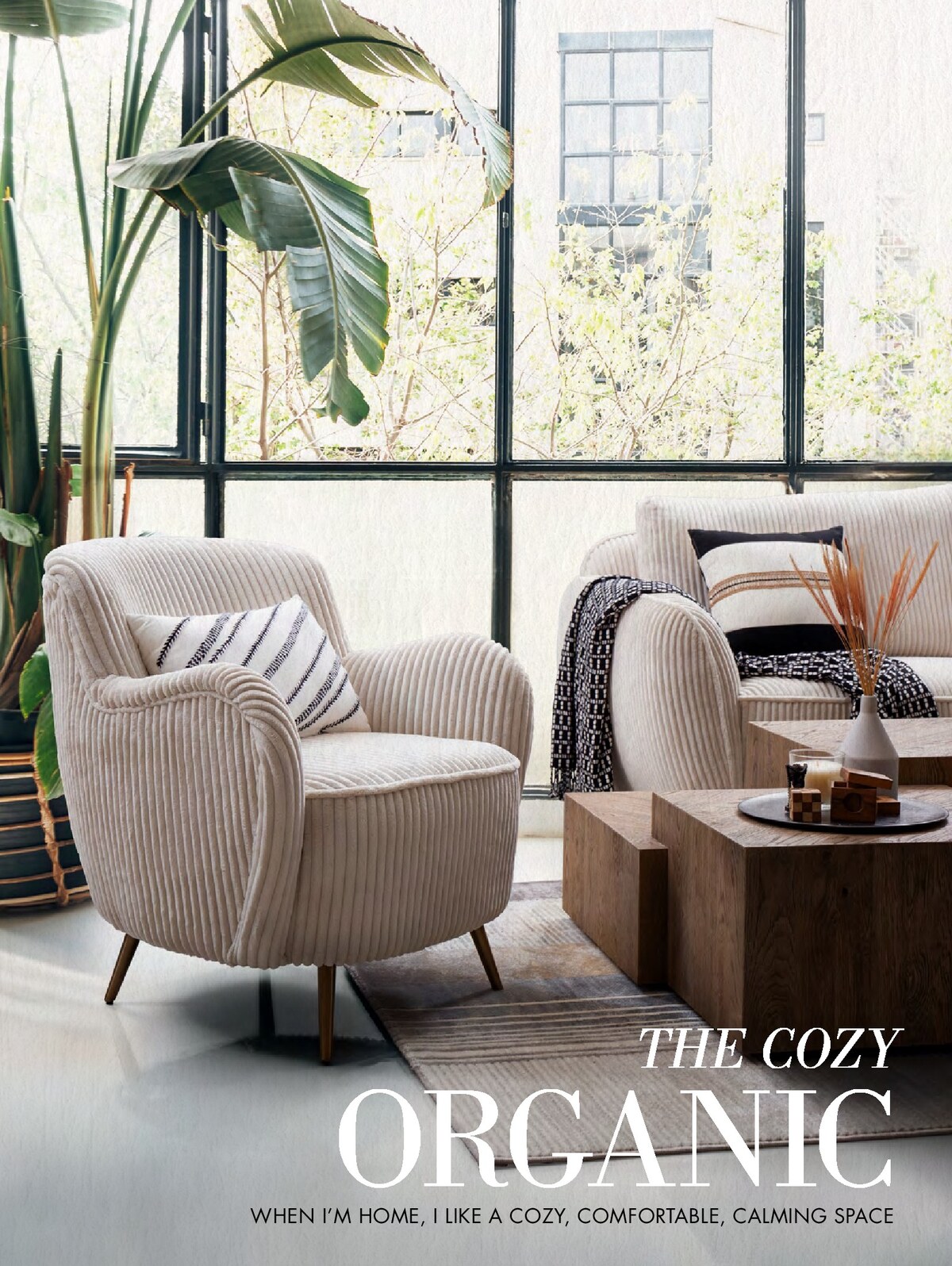 THE COZY ORGANIC